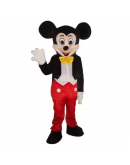 Micky Mouse Mascot