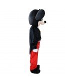 Micky Mouse Mascot