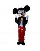Micky Mouse Mascot